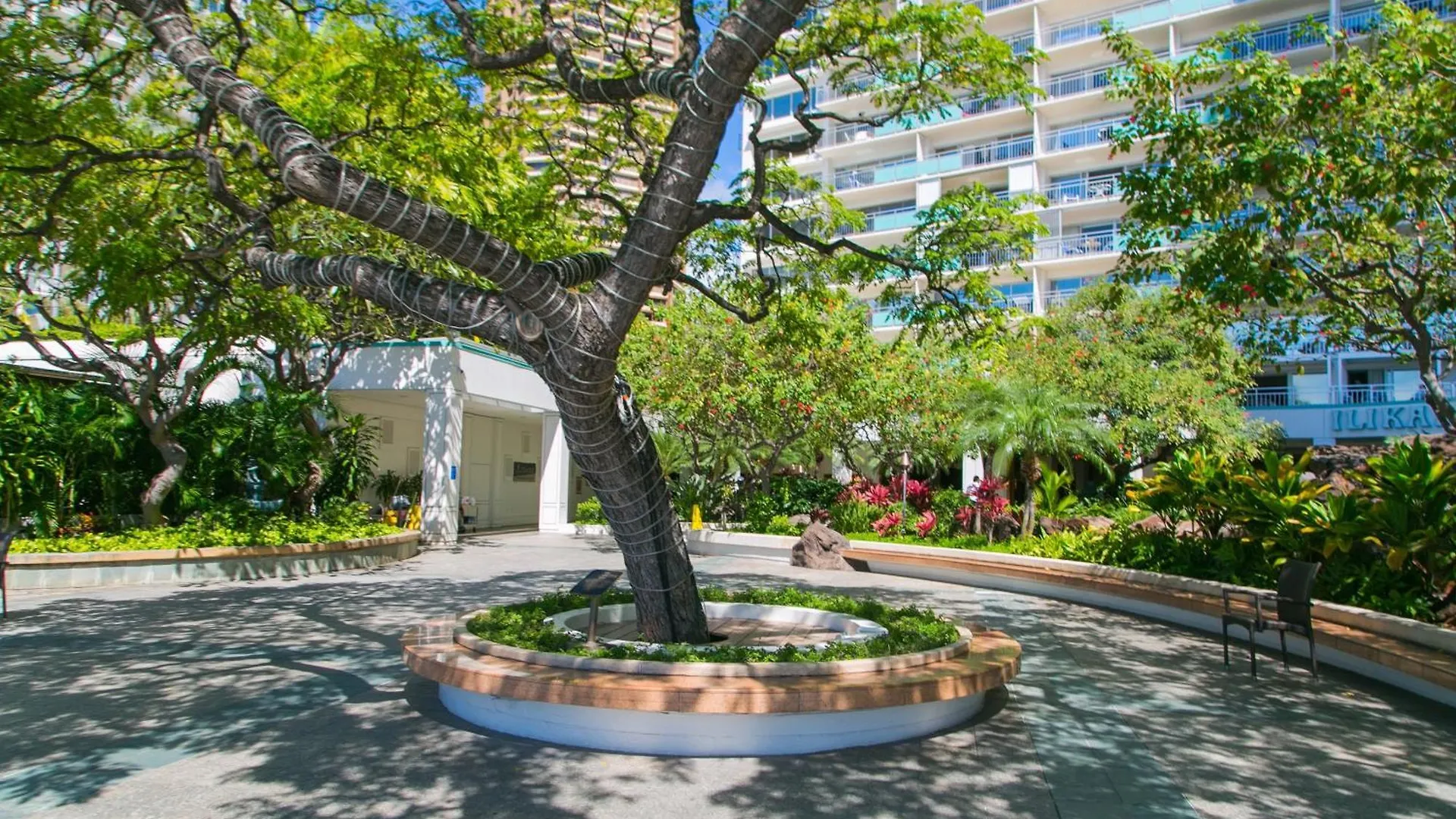 Ilikai Tower 2121 City View 1Br Honolulu 0*,  USA